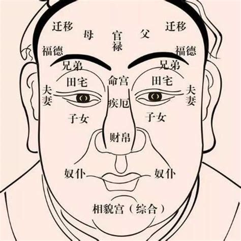 五行面向|面相学